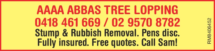 Ad promo image large