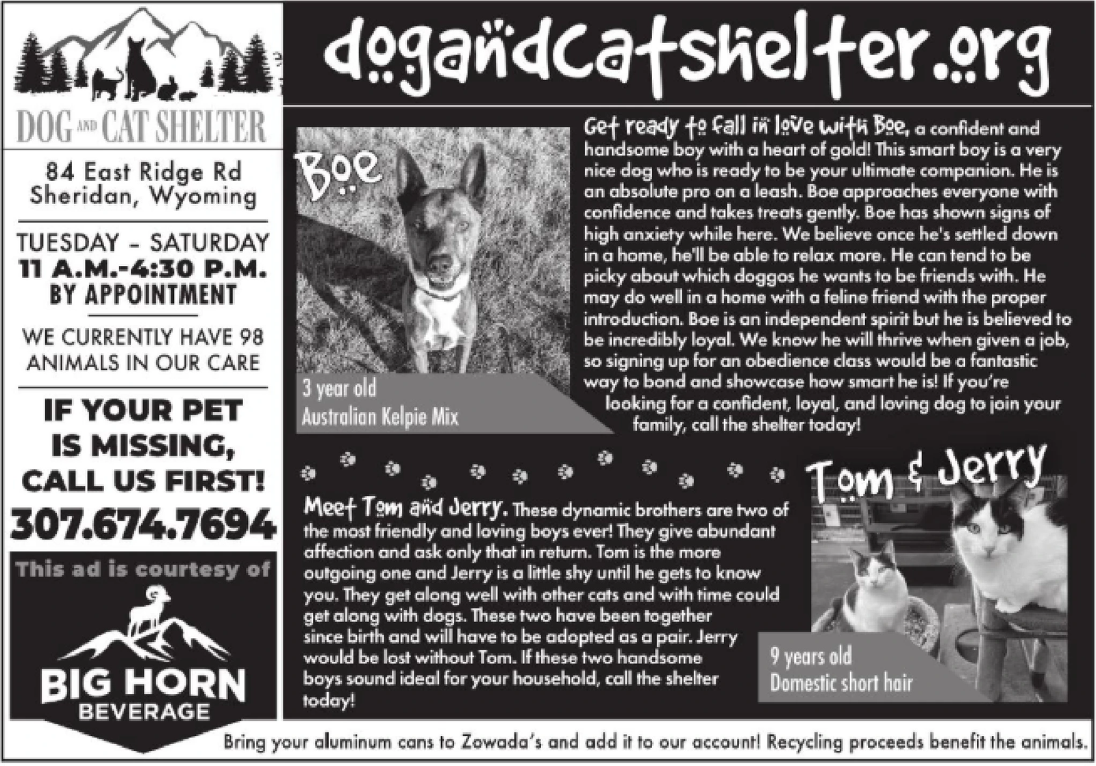 Ad promo image large