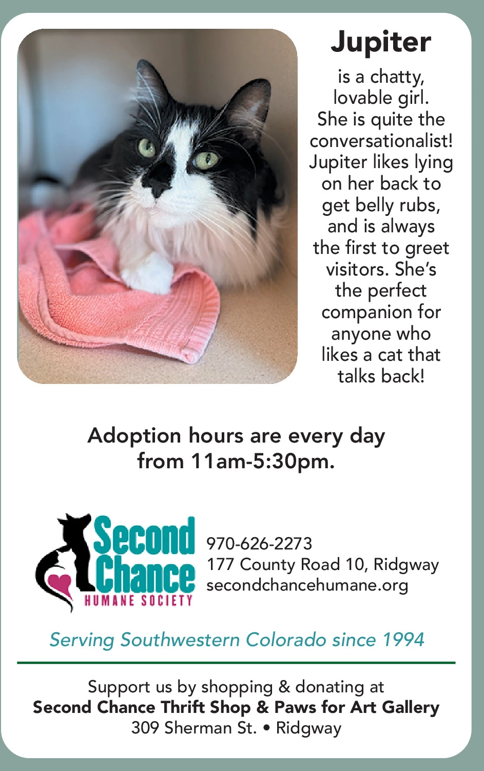 Ad promo image large