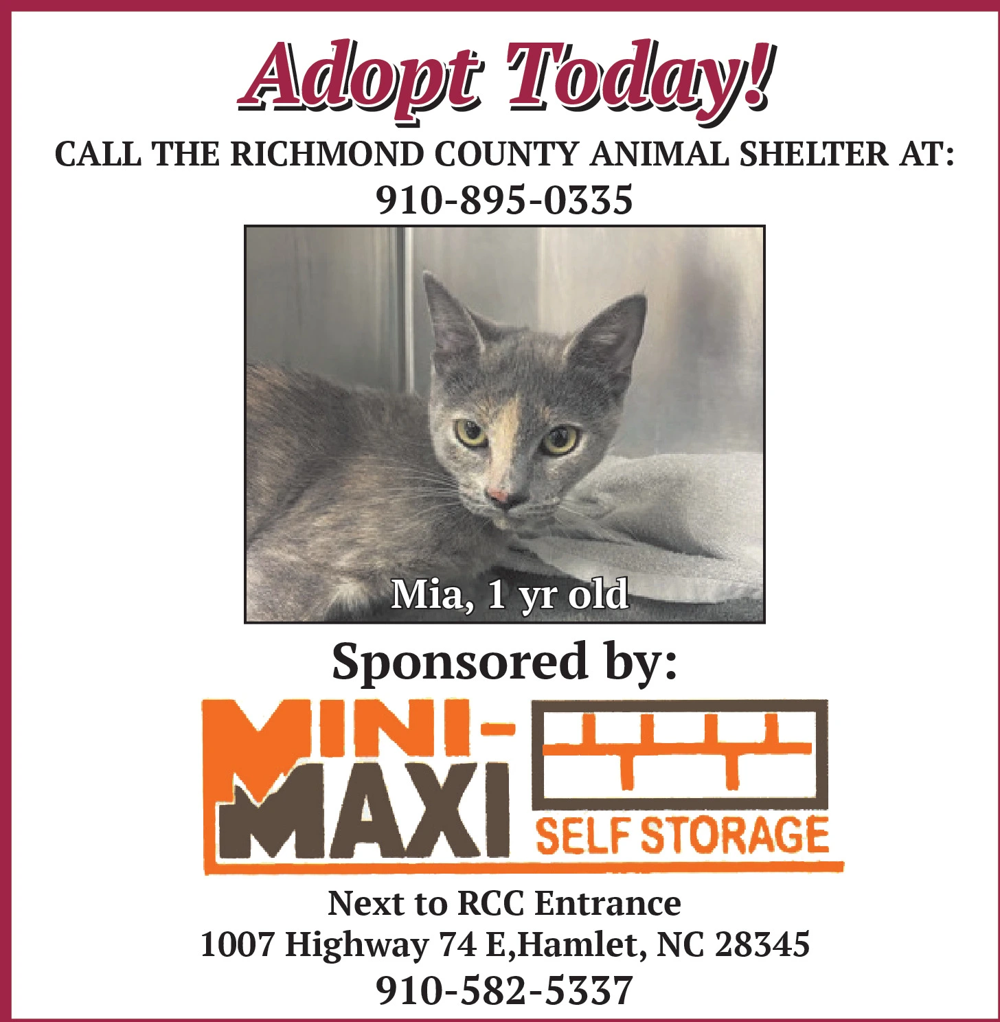 Ad promo image large