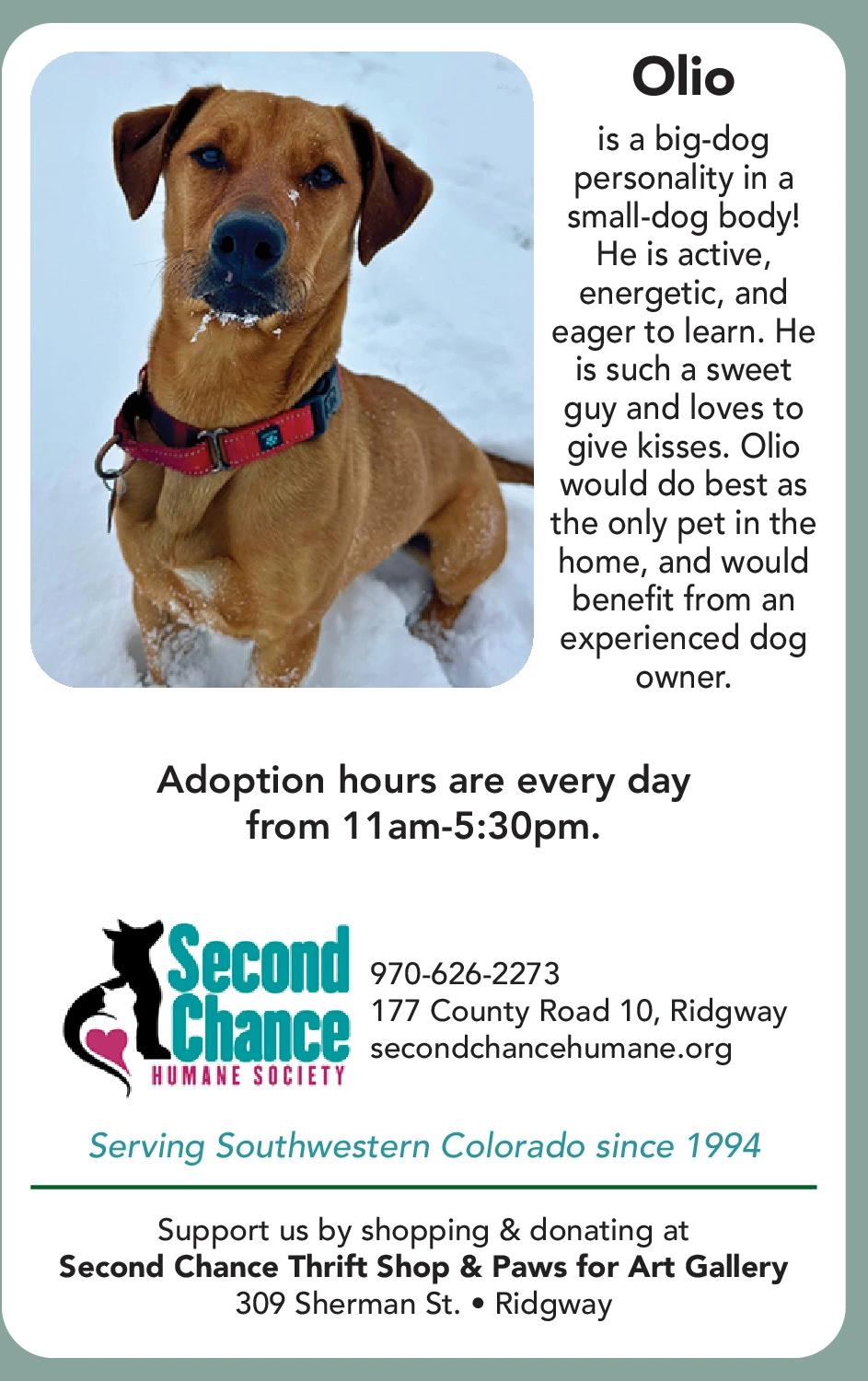 Ad promo image large