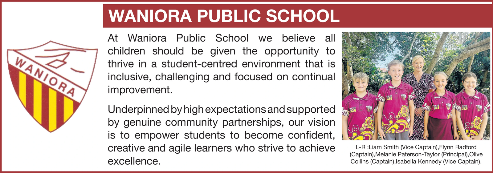 Ad promo image large