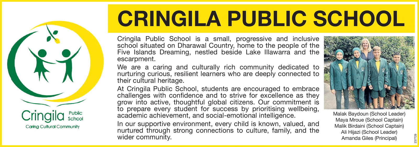 Ad promo image large