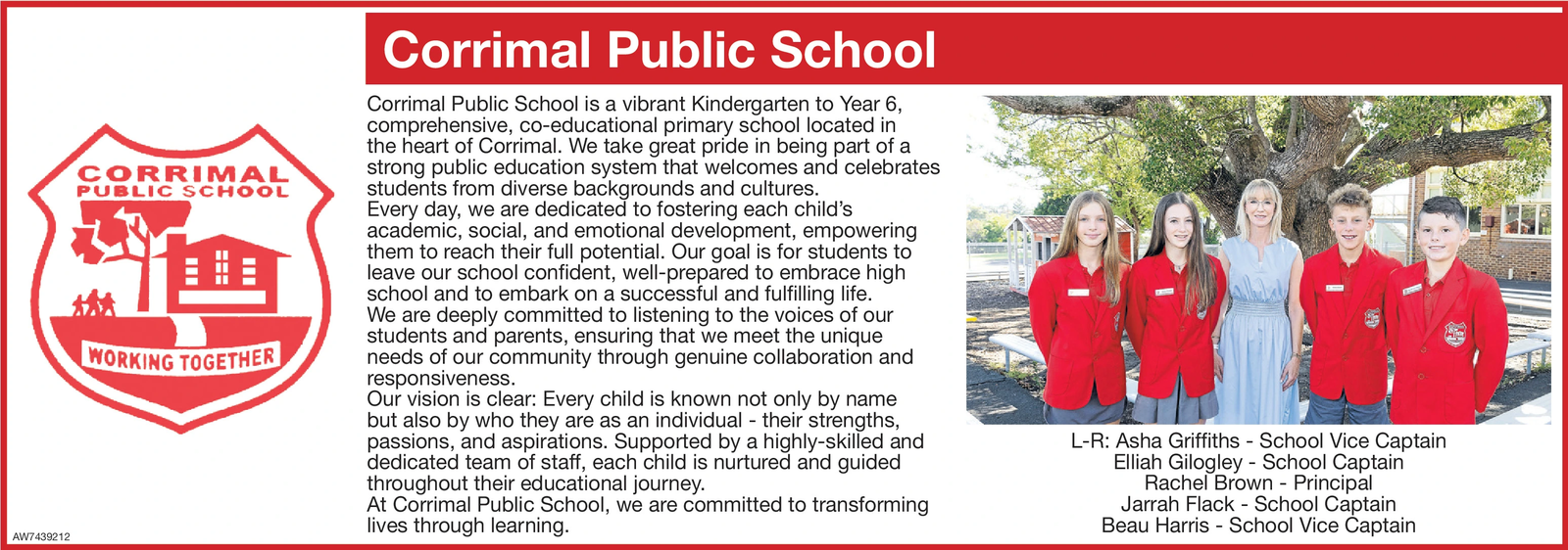 Ad promo image large