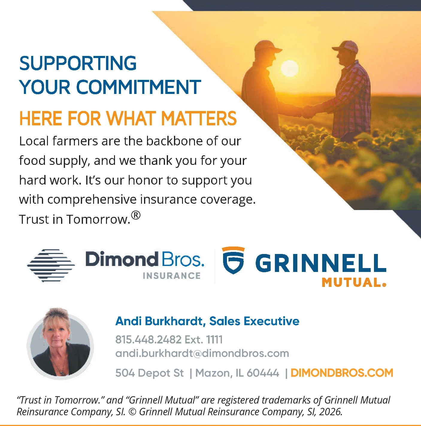 Ad promo image large