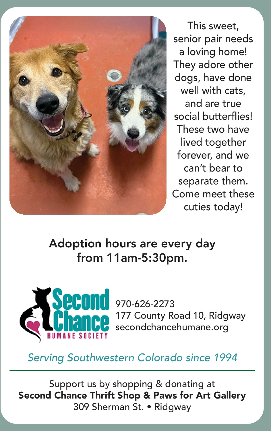 Ad promo image large