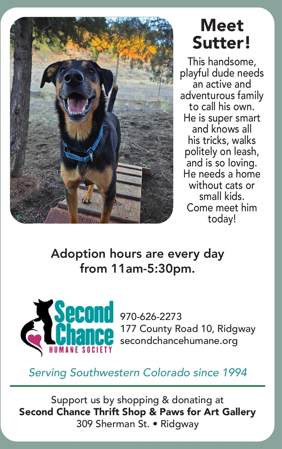 Ad promo image large