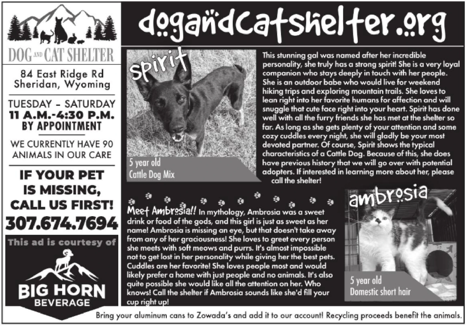 Ad promo image large