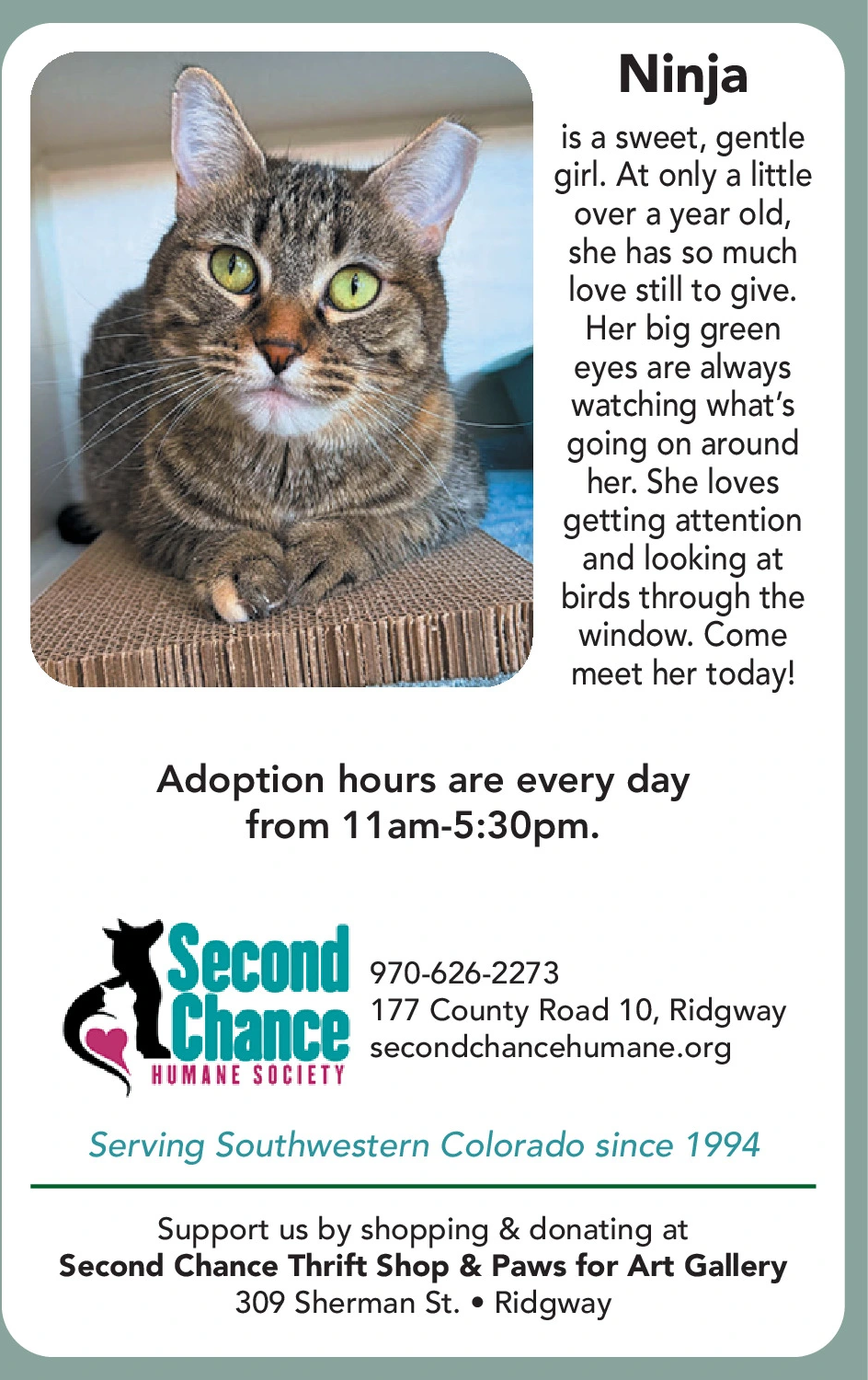 Ad promo image large