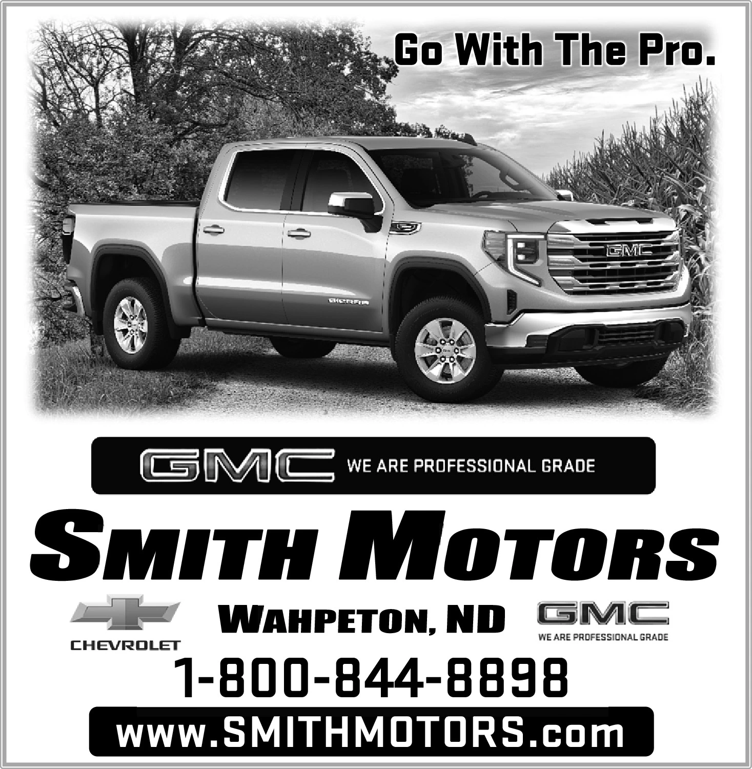 Ad promo image large