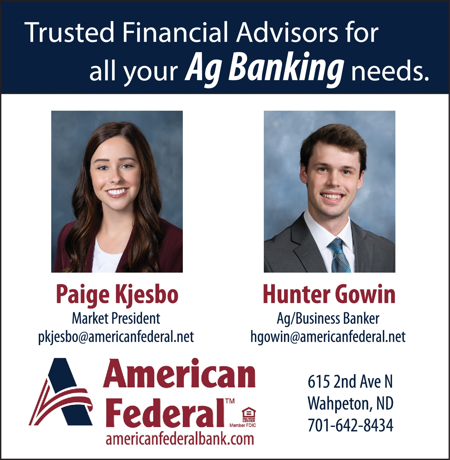 Ad promo image large