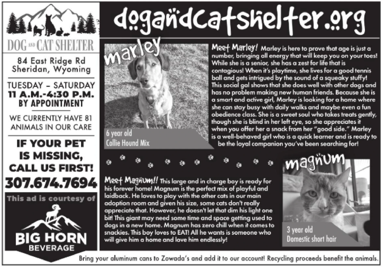 Ad promo image large