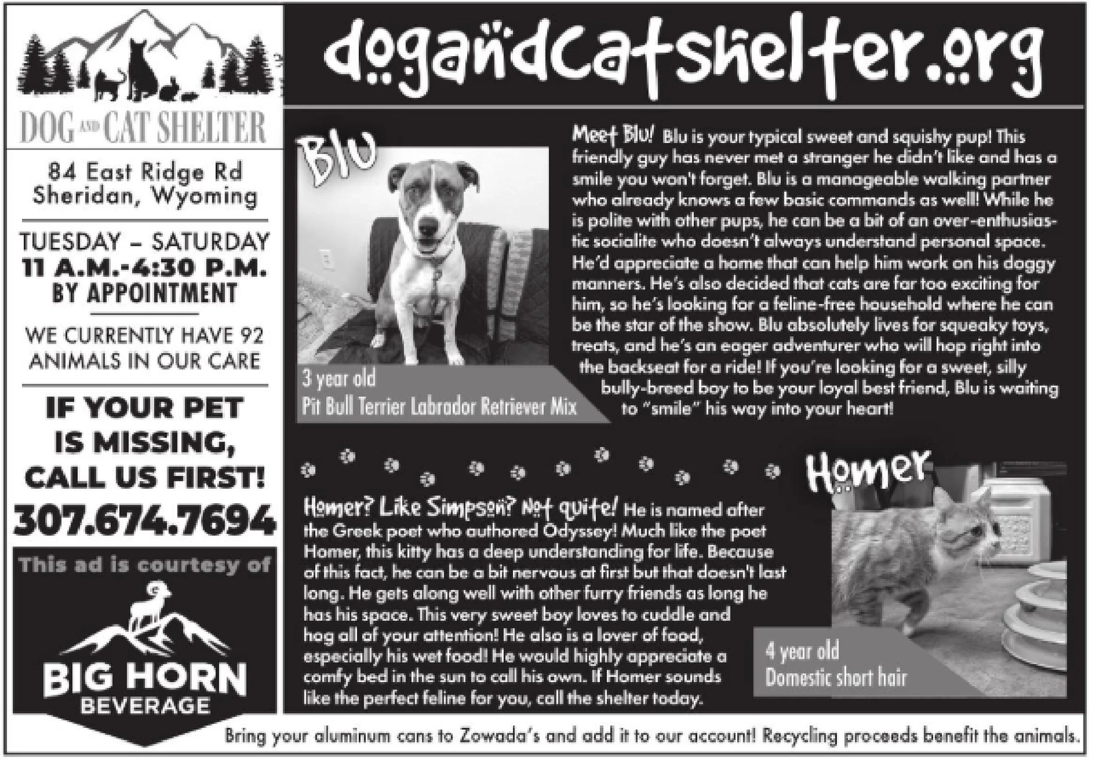 Ad promo image large