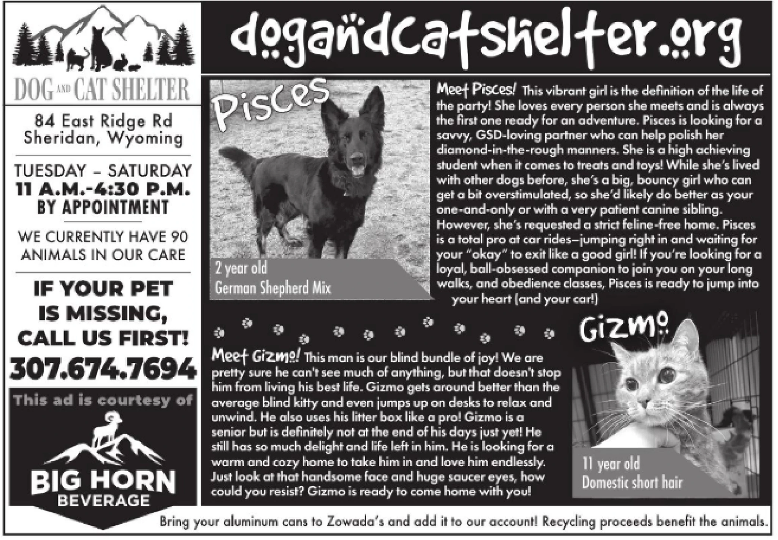 Ad promo image large