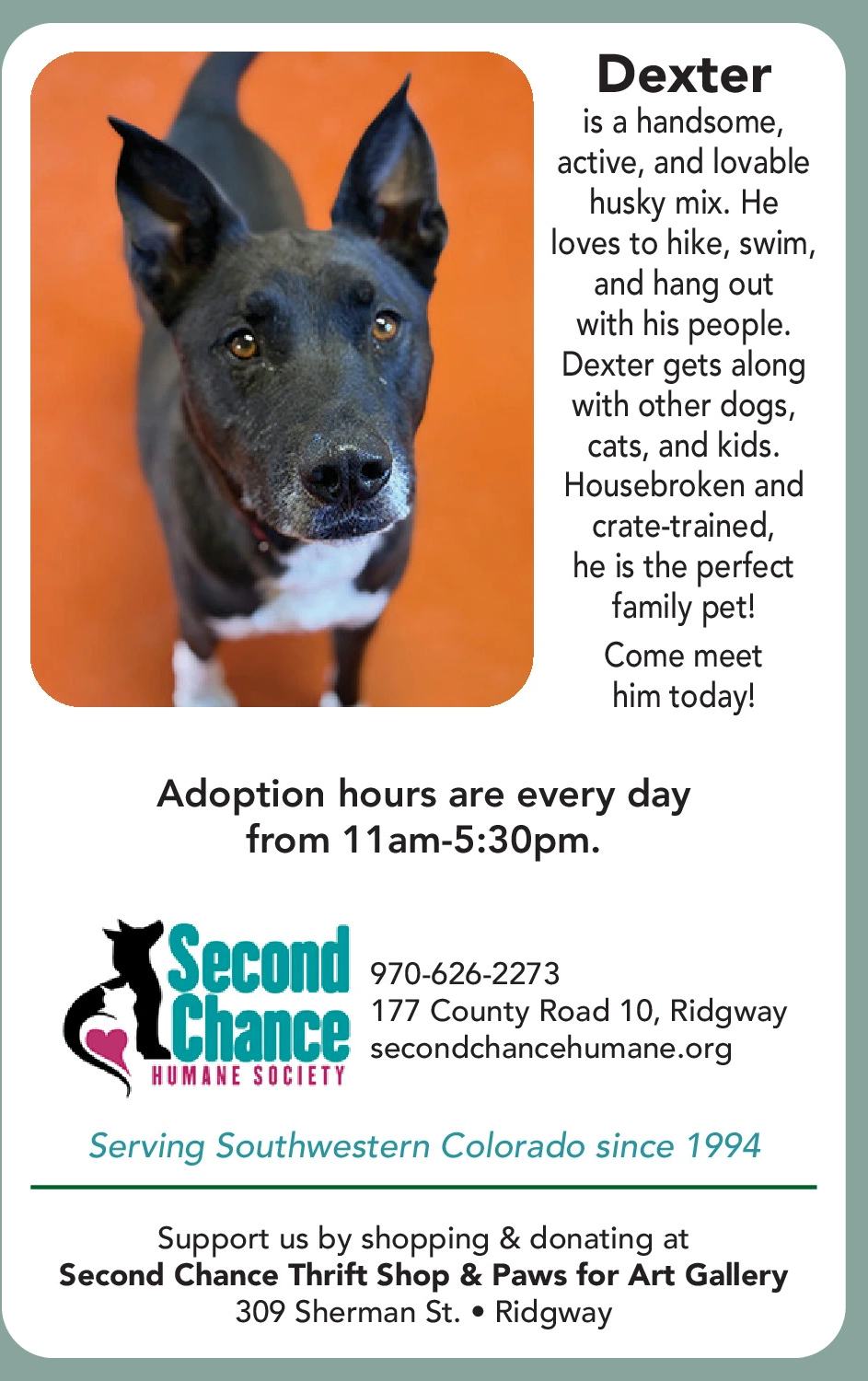 Ad promo image large