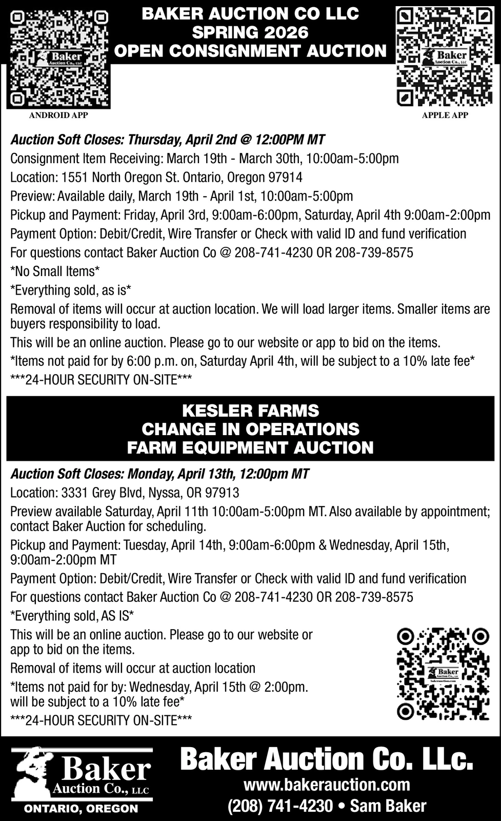 Ad promo image large