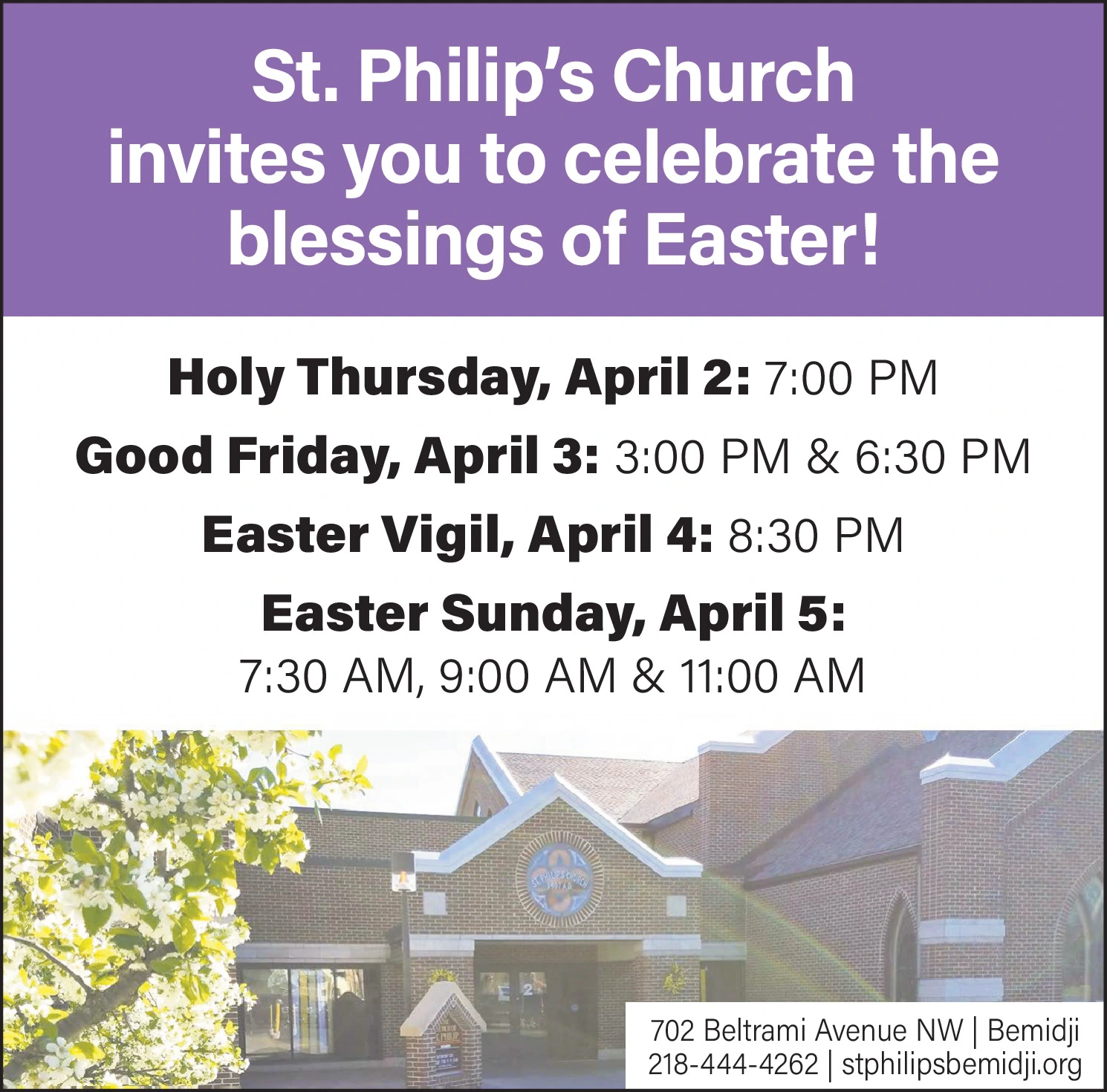 Ad promo image large