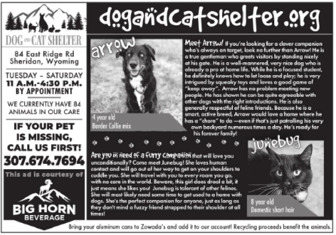 Ad promo image large