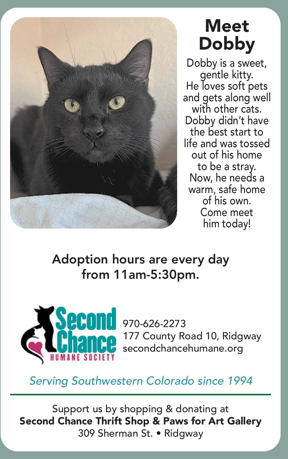 Ad promo image large