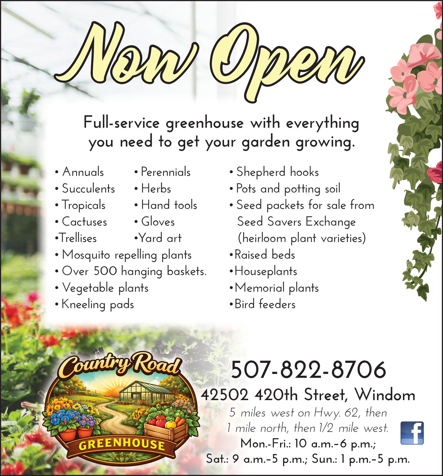 Ad promo image large