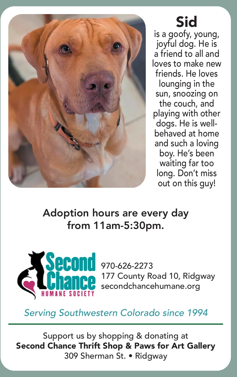 Ad promo image large