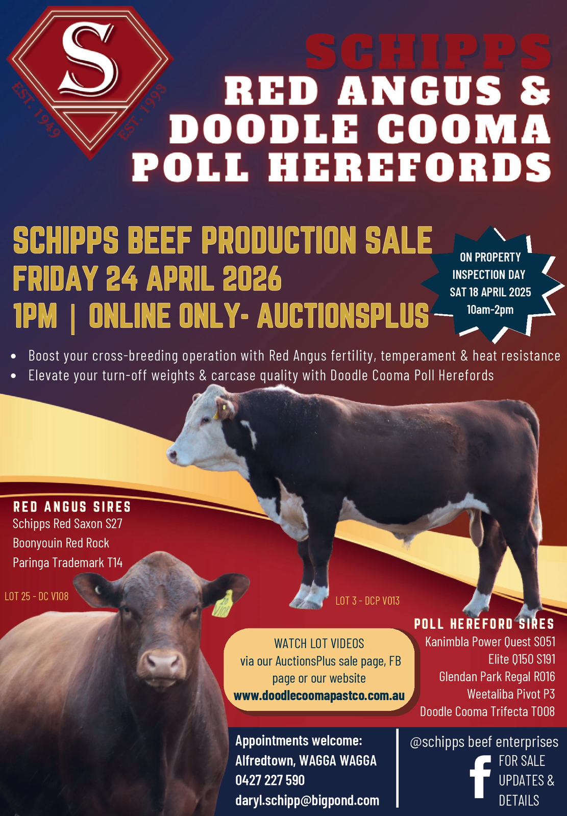 Ad promo image large