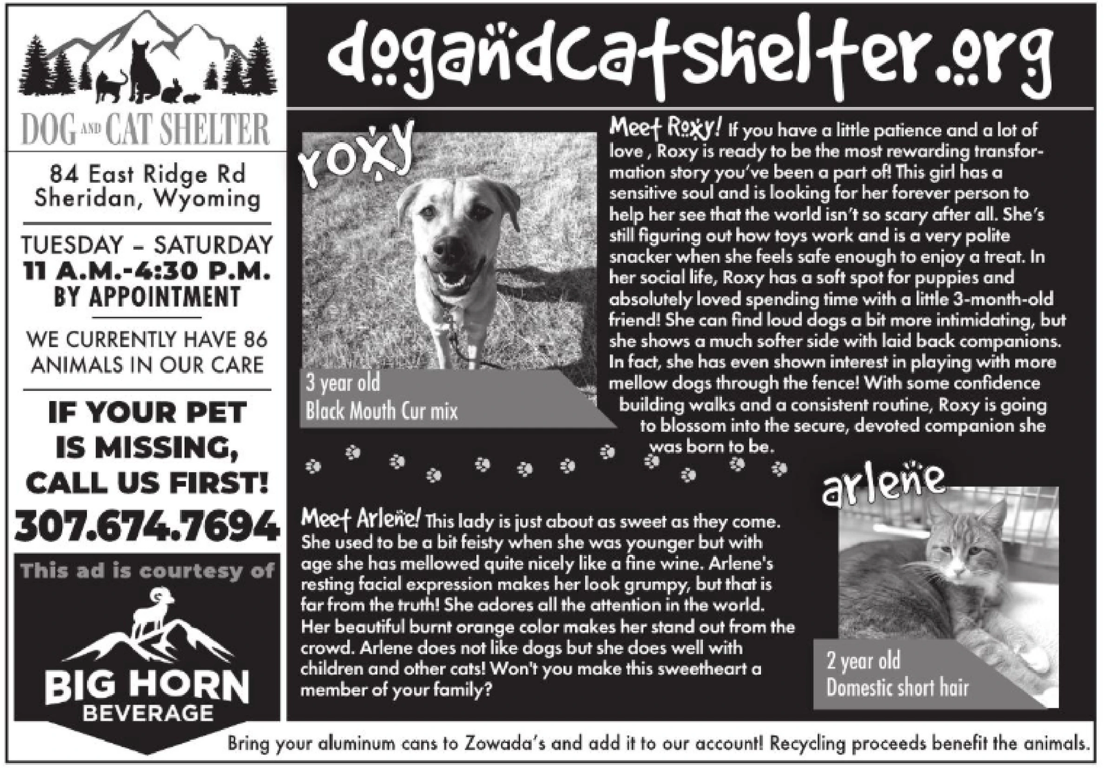 Ad promo image large