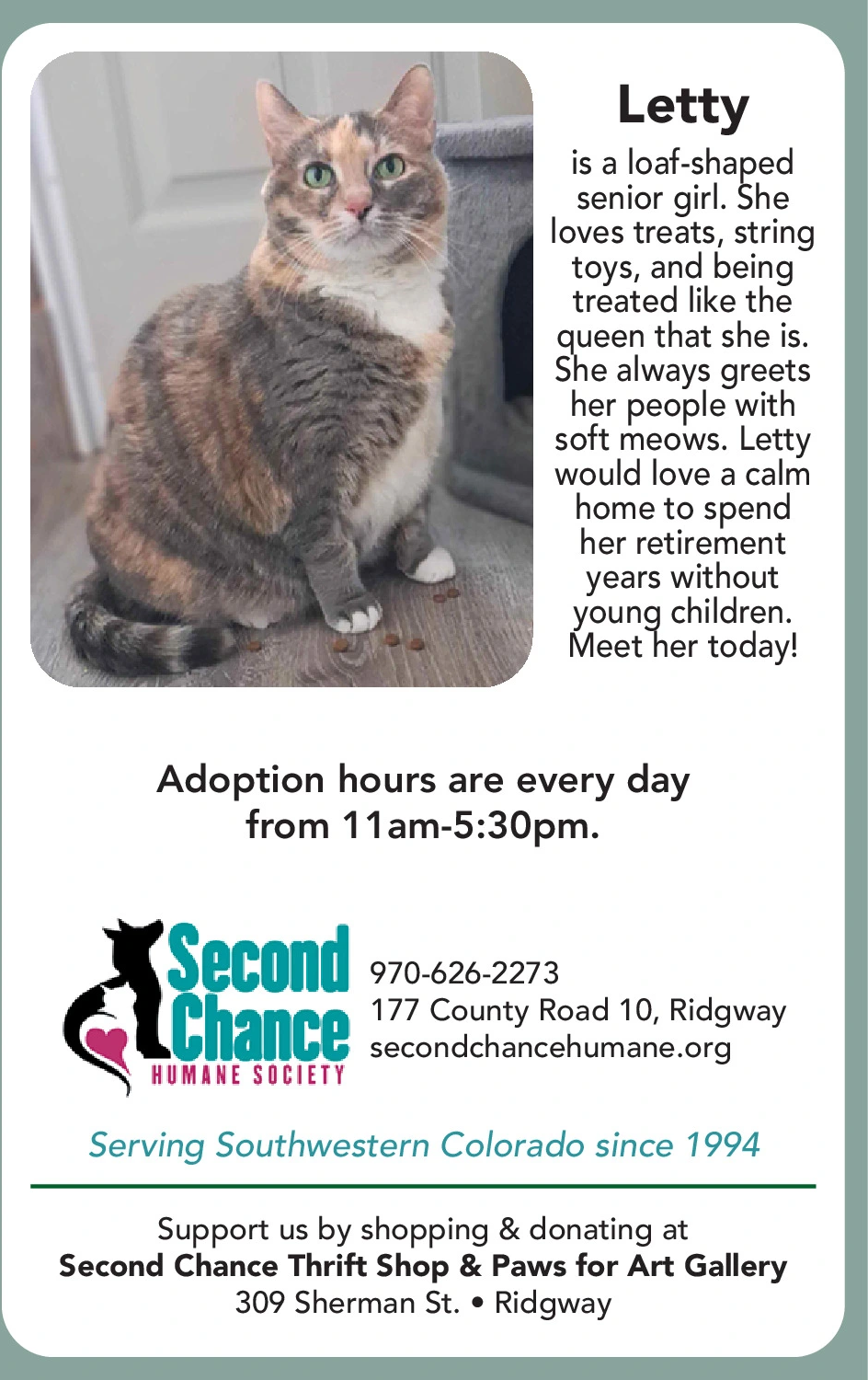 Ad promo image large