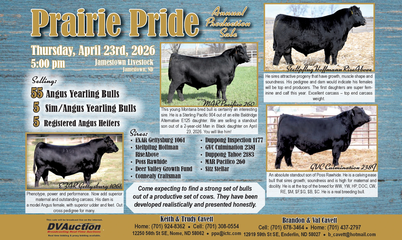 Ad promo image large