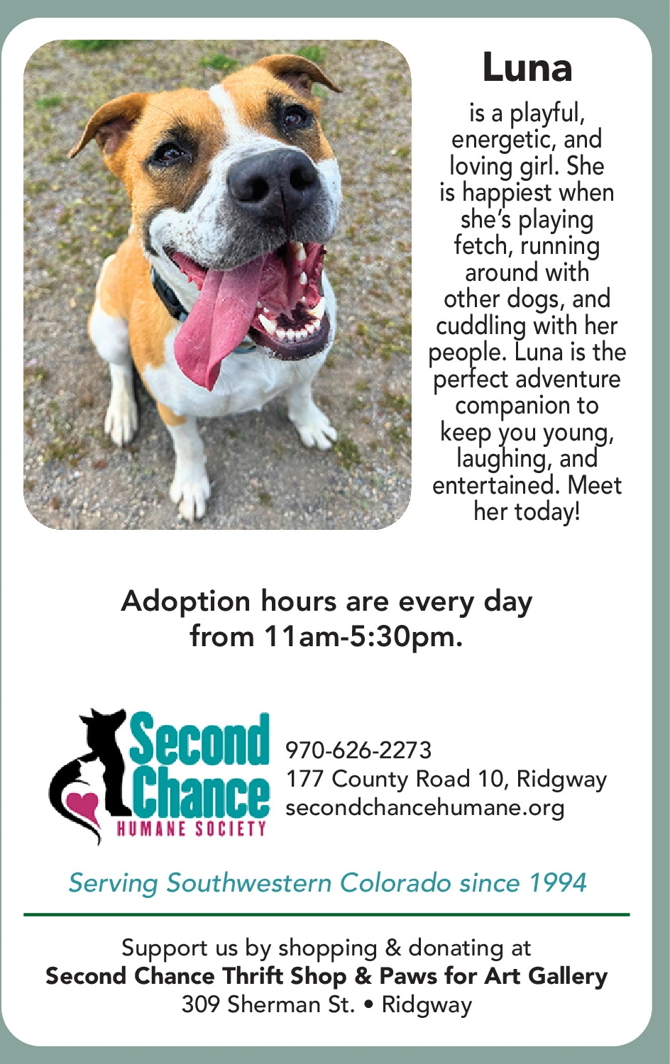 Ad promo image large