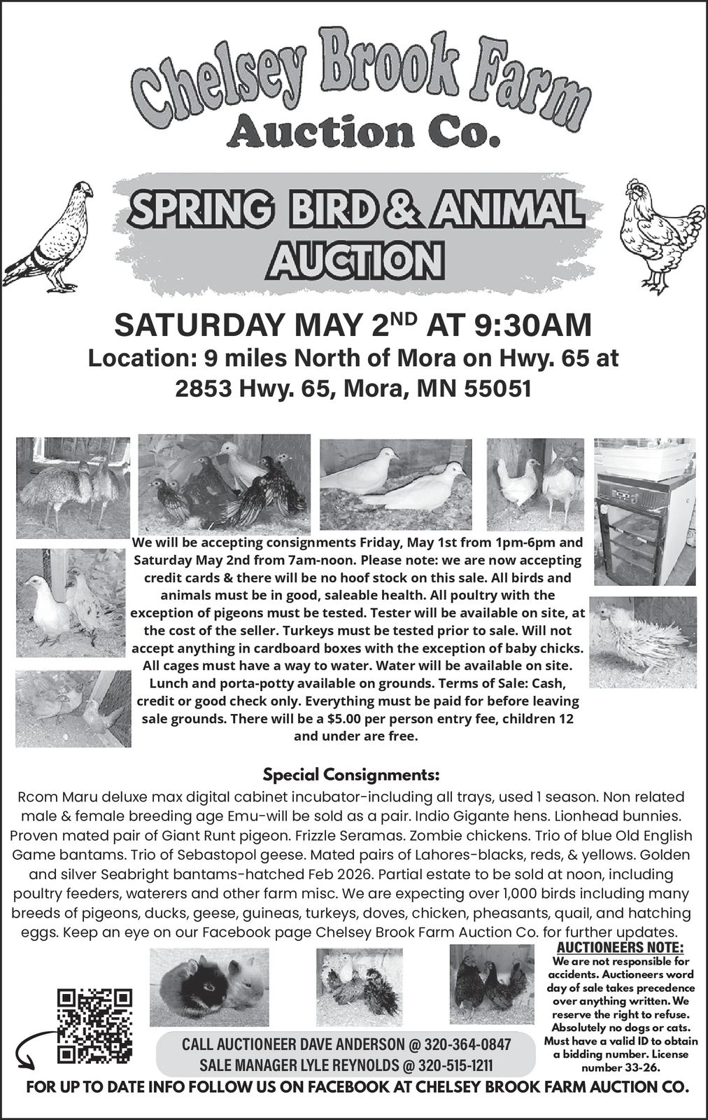 Ad promo image large