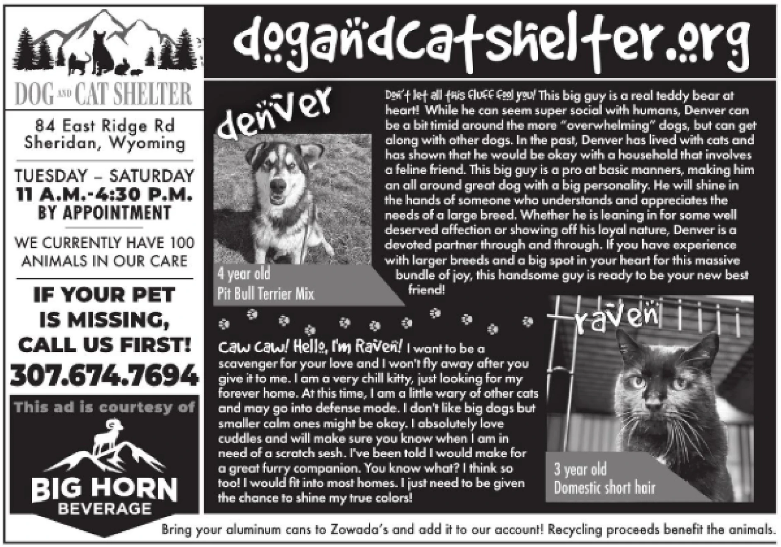 Ad promo image large