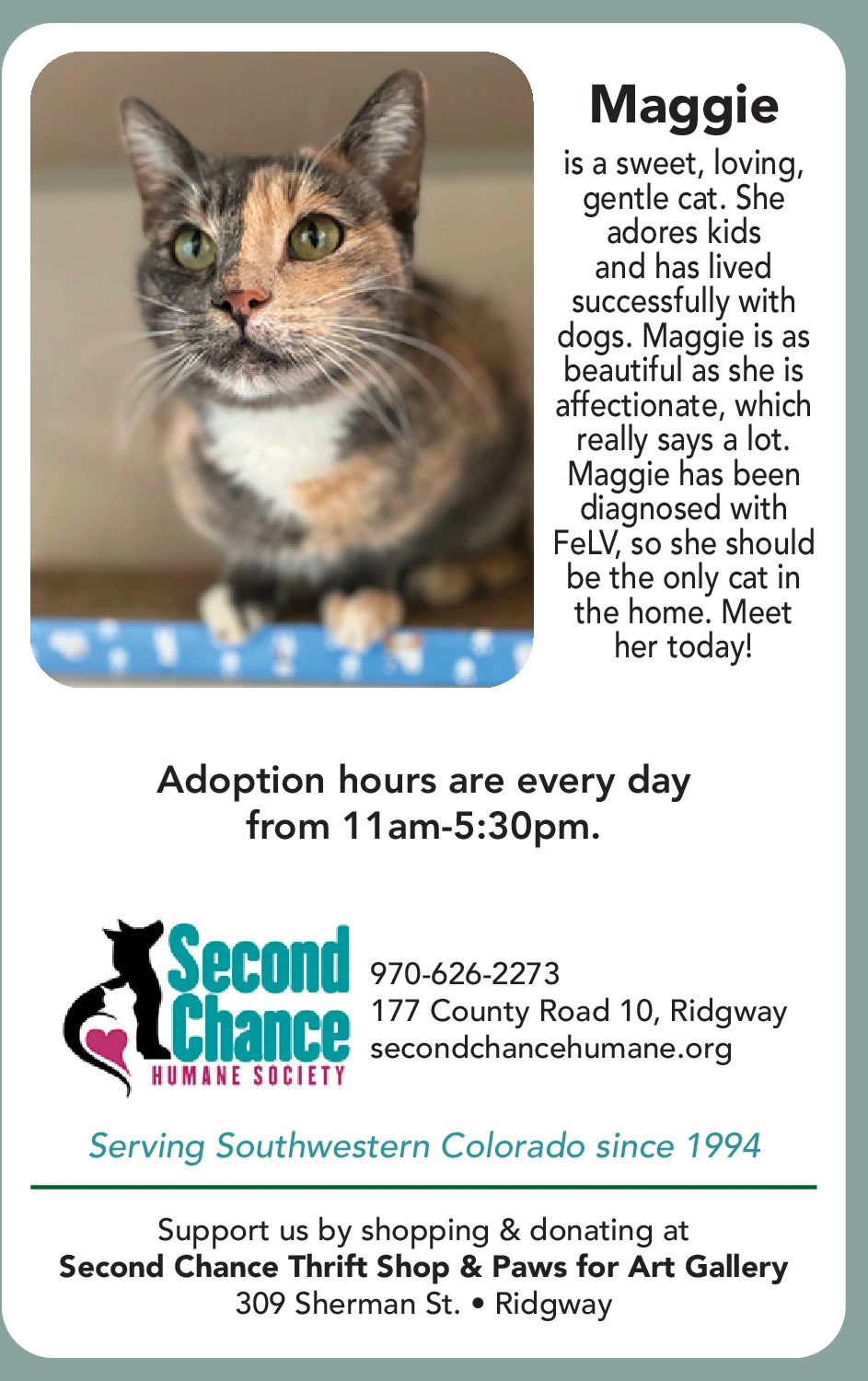 Ad promo image large