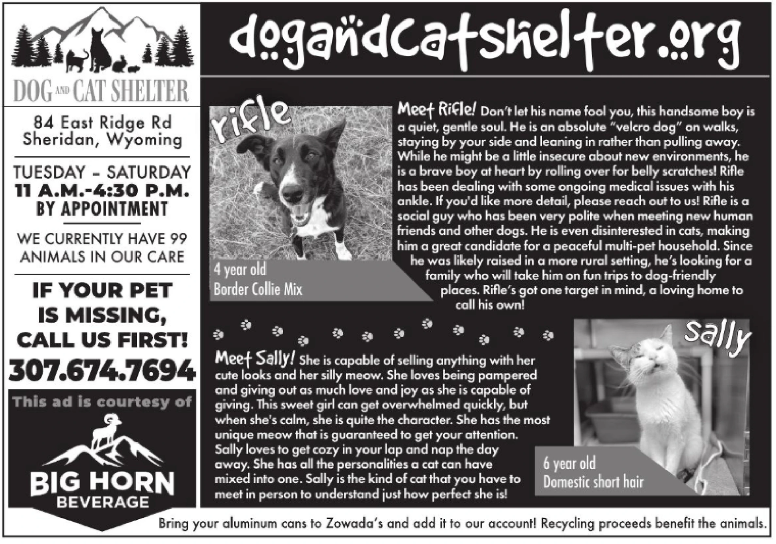 Ad promo image large