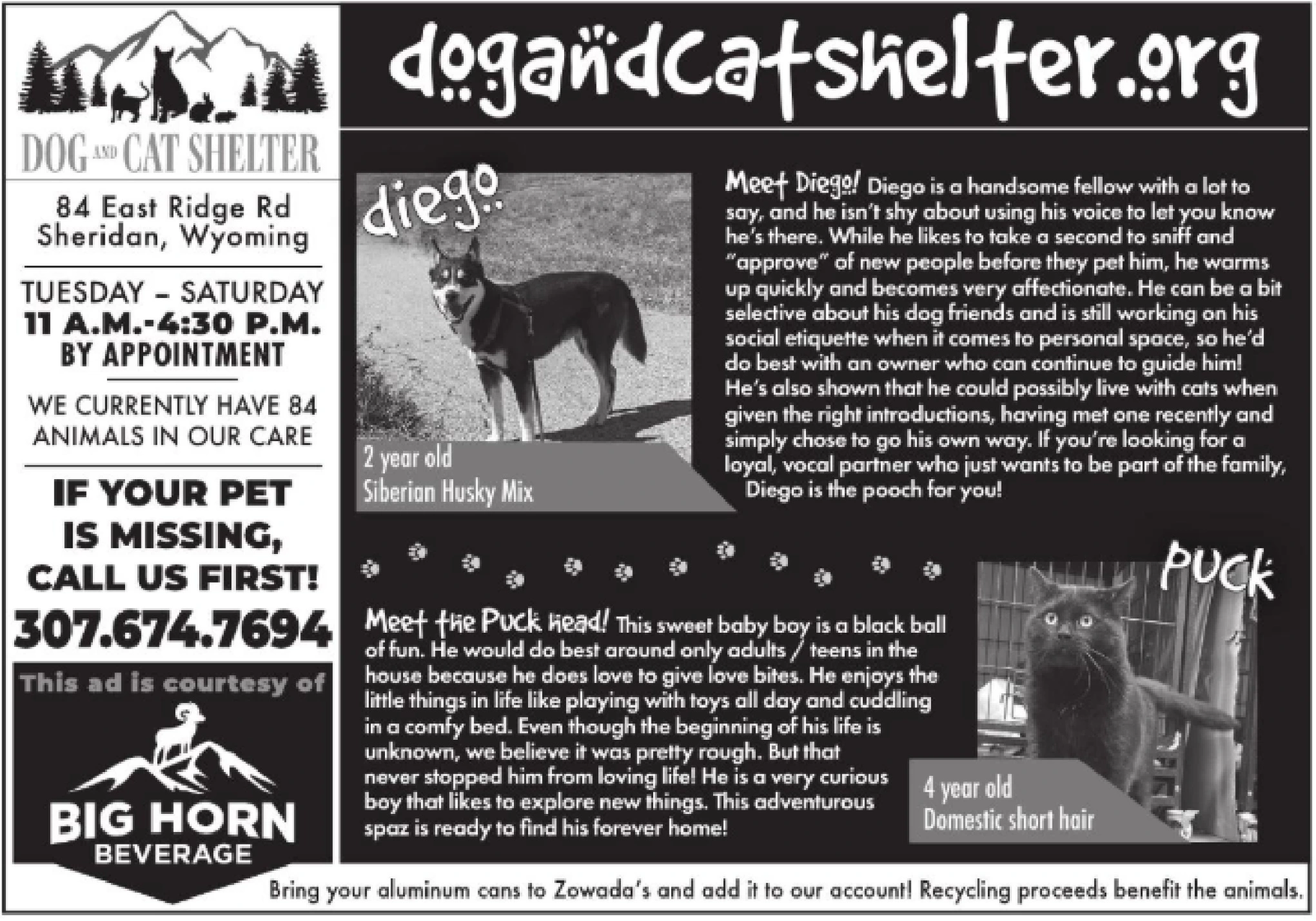 Ad promo image large