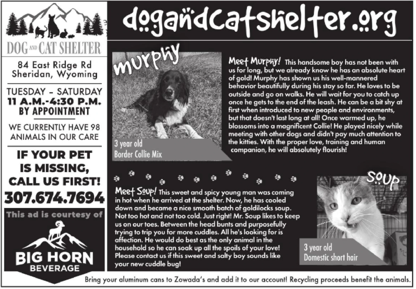 Ad promo image large
