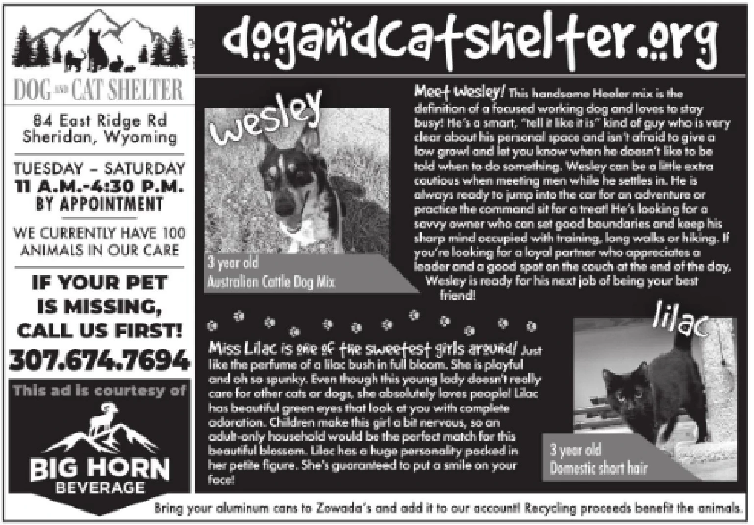 Ad promo image large