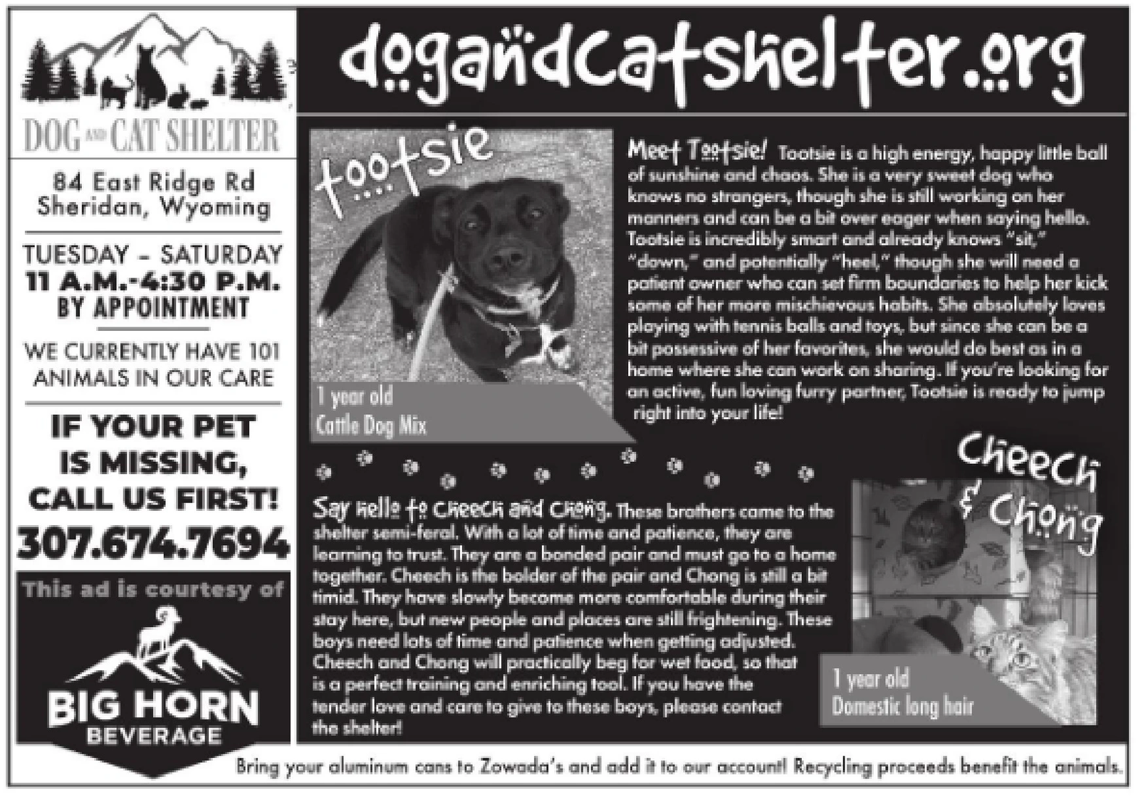 Ad promo image large