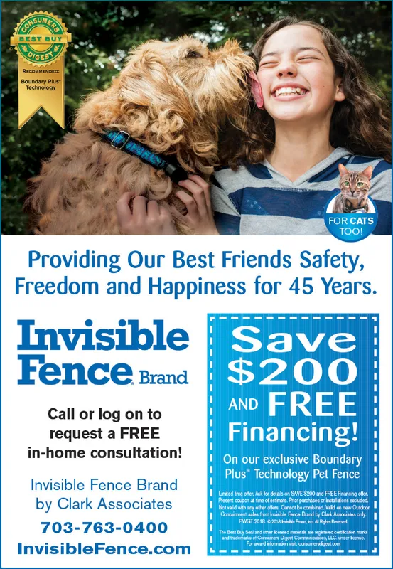 Invisible fence coupon best sale