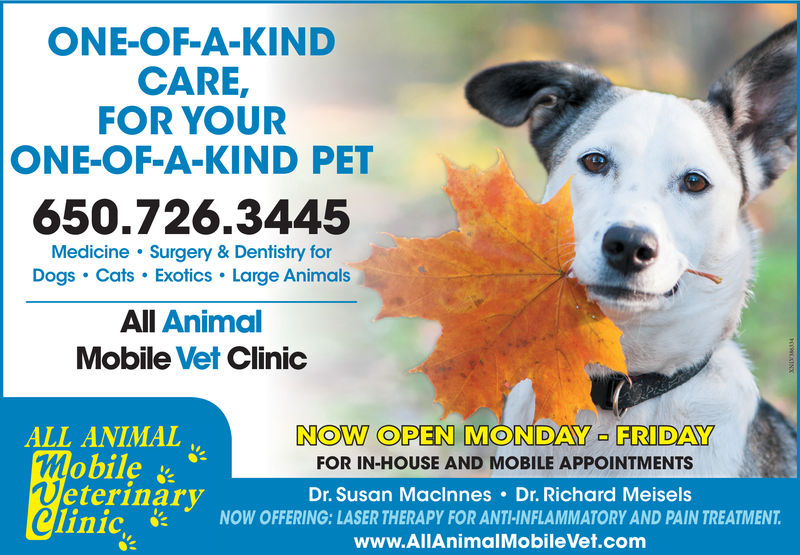 one of a kind pet clinic