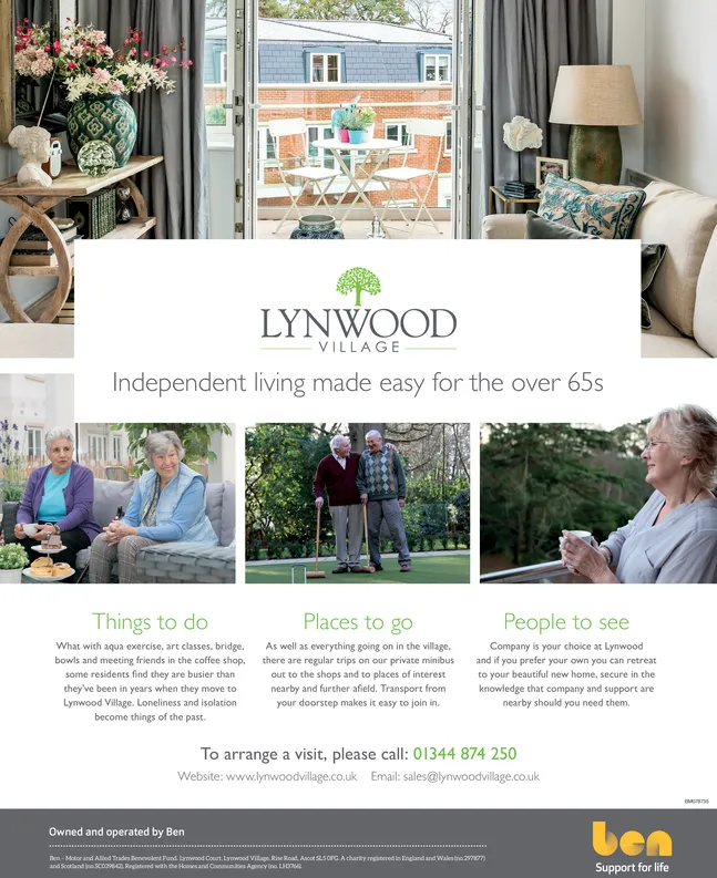 Ad promo image large