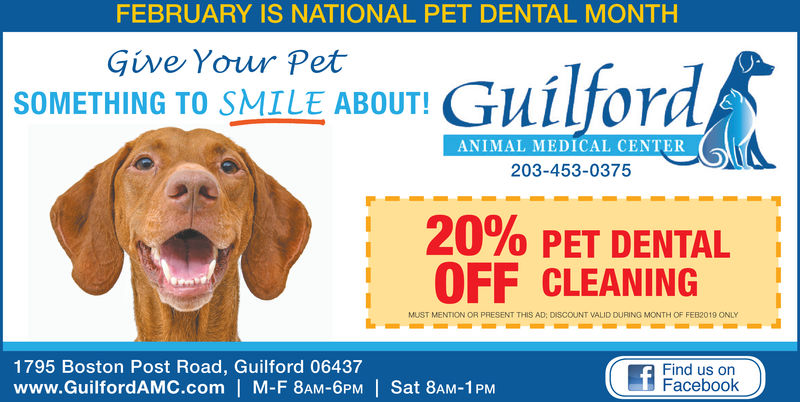 WEDNESDAY, JANUARY 30, 2019 Ad - Guilford Animal Medical Center - The Day