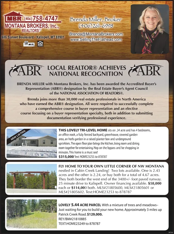 Ad promo image large