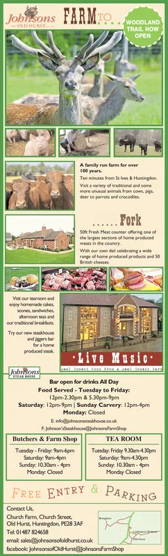 Ad promo image large