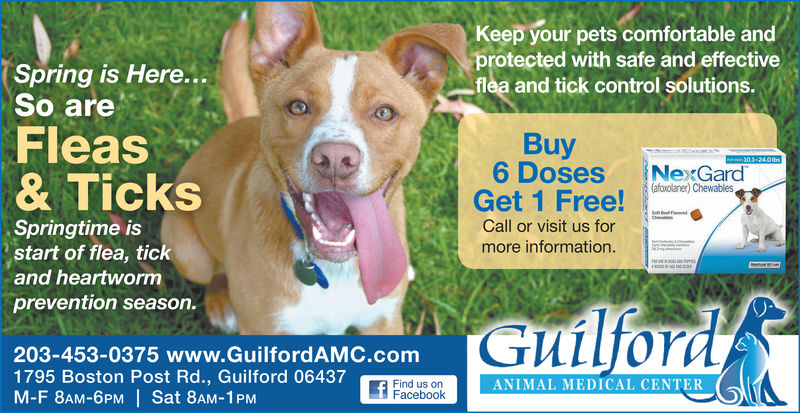 WEDNESDAY, MARCH 13, 2019 Ad - Guilford Animal Medical Center - The Day