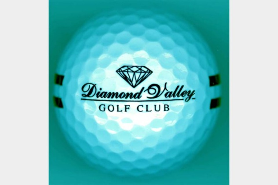 Diamond Valley Golf Club in Hemet, CA