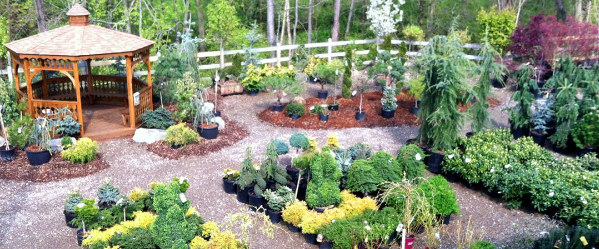 Bedner's Farm & Greenhouse in McDonald, PA
