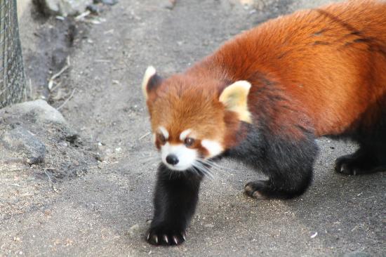 Roger Williams Park Zoo in Providence, RI