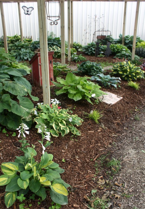 In The Country Garden & Gifts in Independence, IA