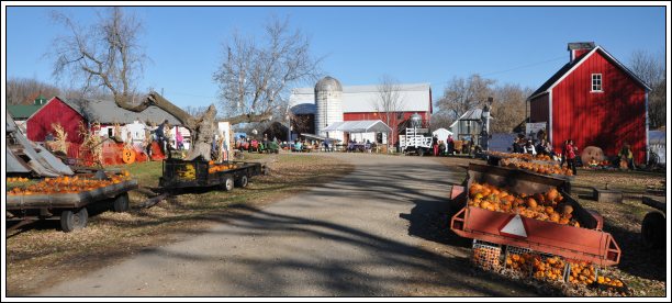 Nelson Farm in Litchfield, MN